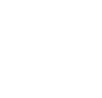 Privacy Icon